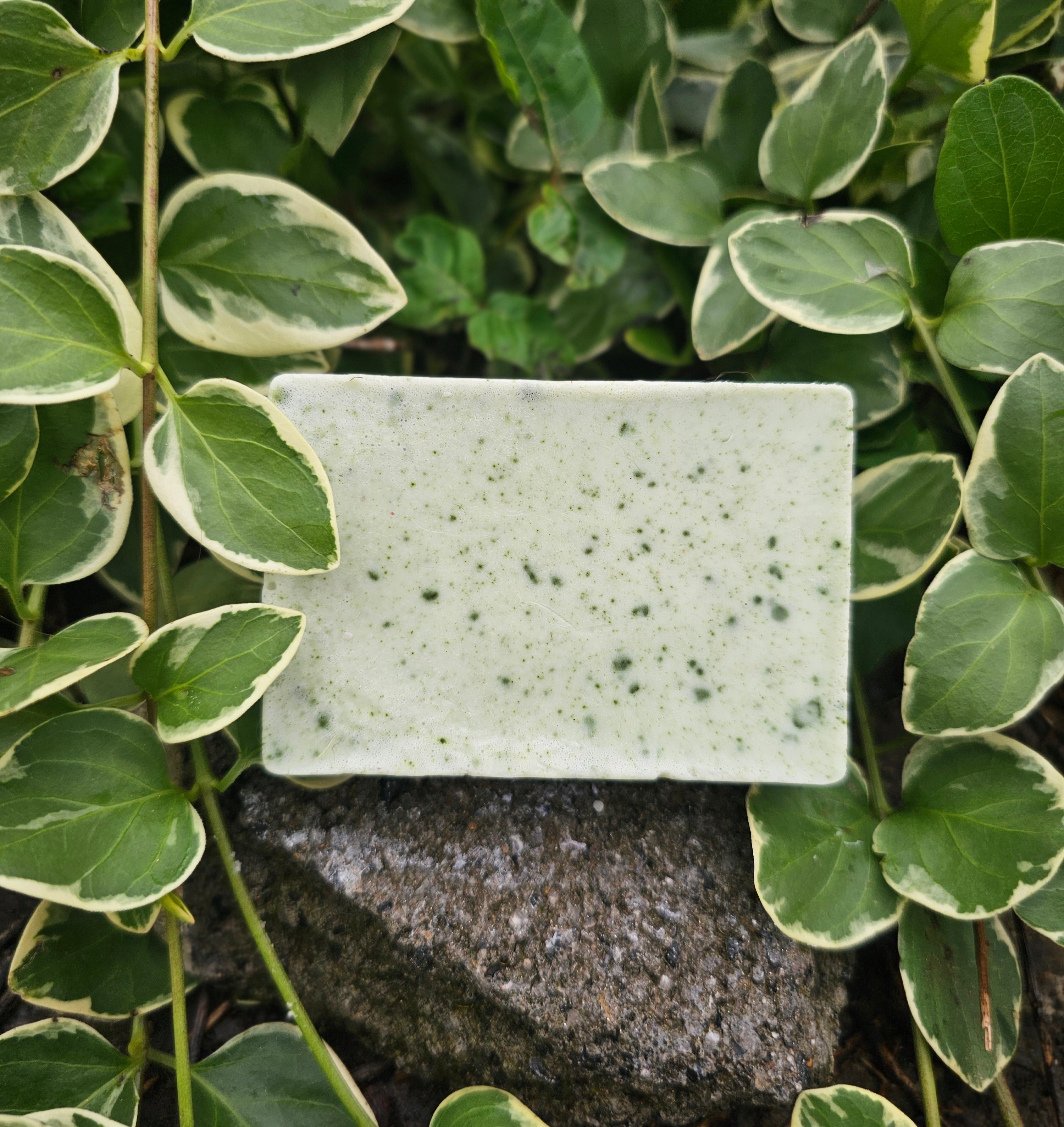 Meadow Mint Goat Milk Soap