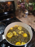 Mullein Lung Support Cough Syrup