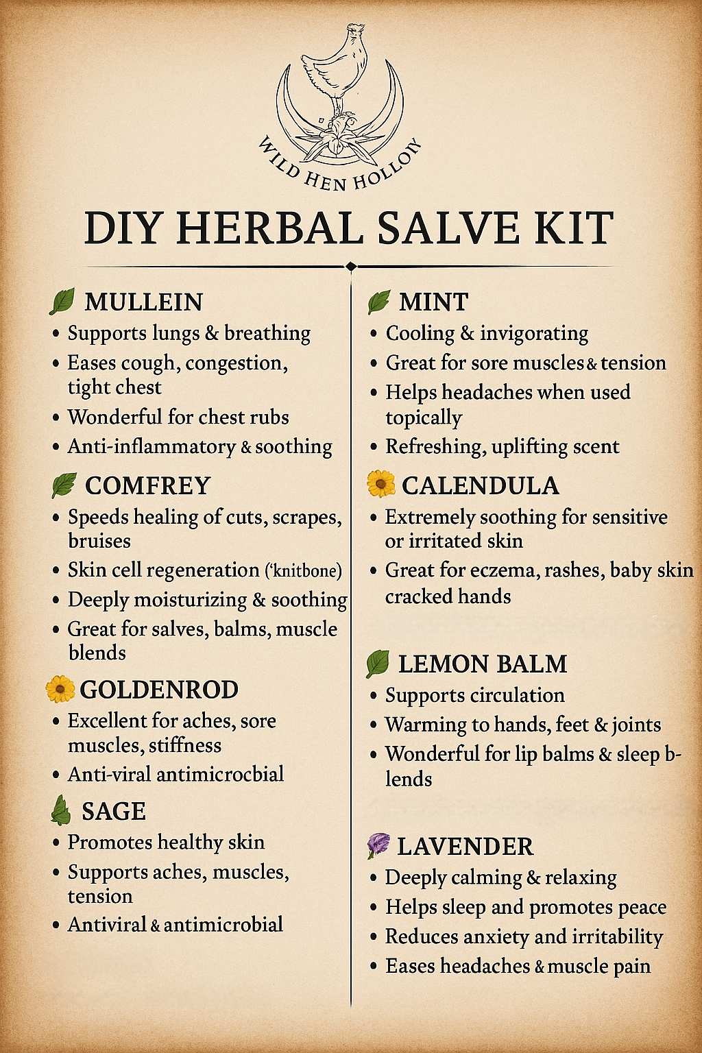 DIY Herbal Healing Salve Kit