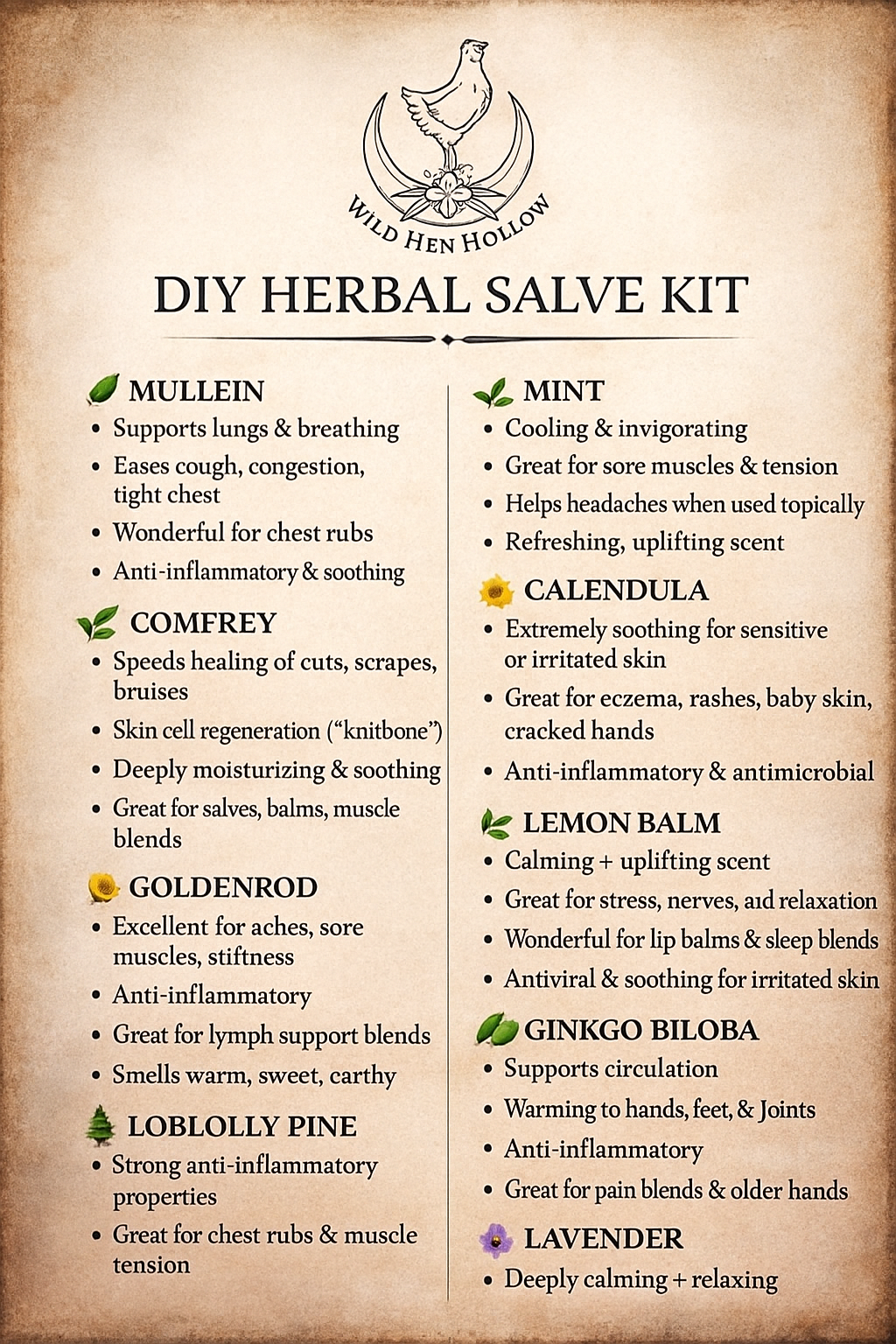 DIY Herbal Healing Salve Kit
