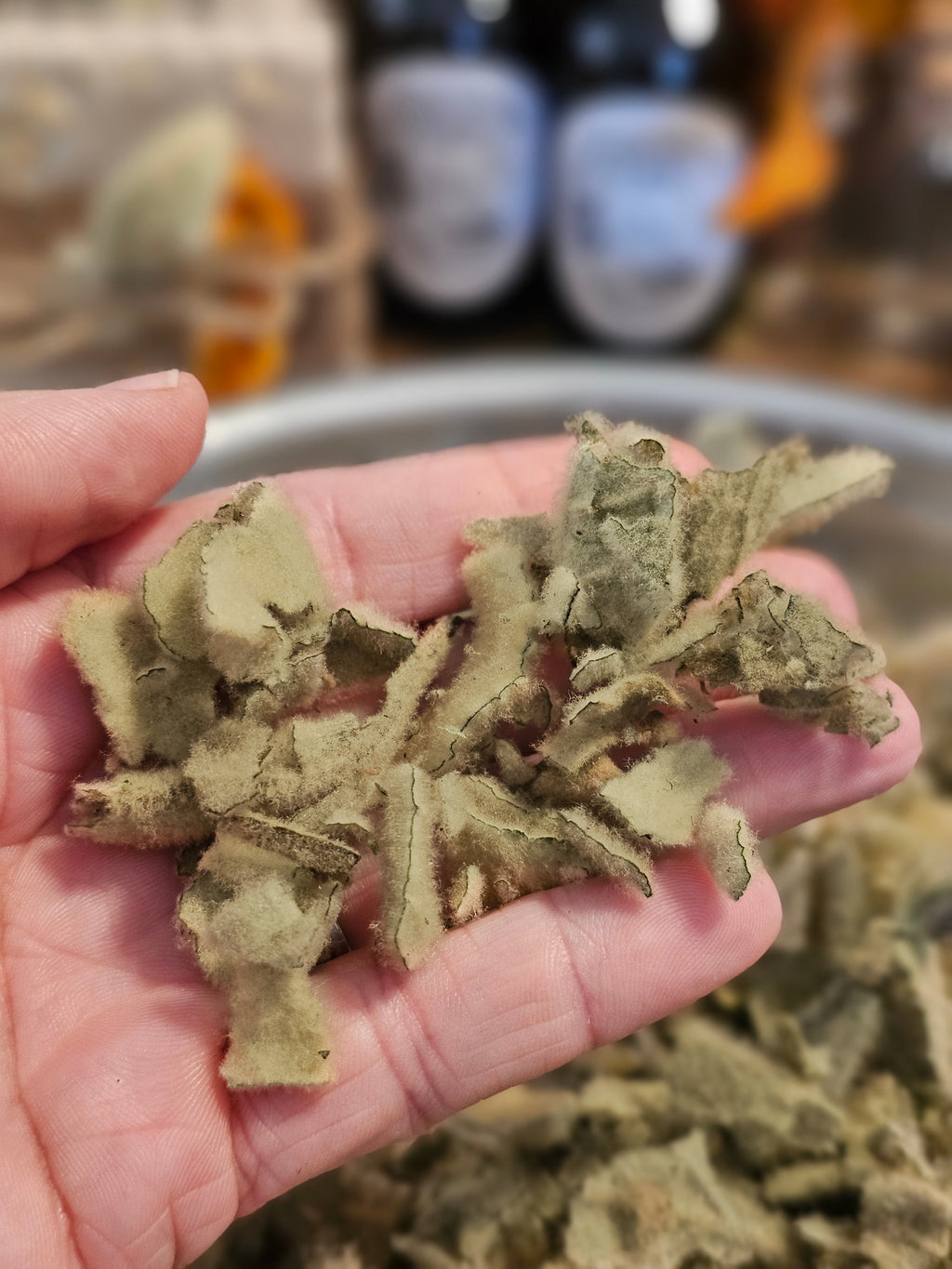 Dried Loose Leaf Mullein