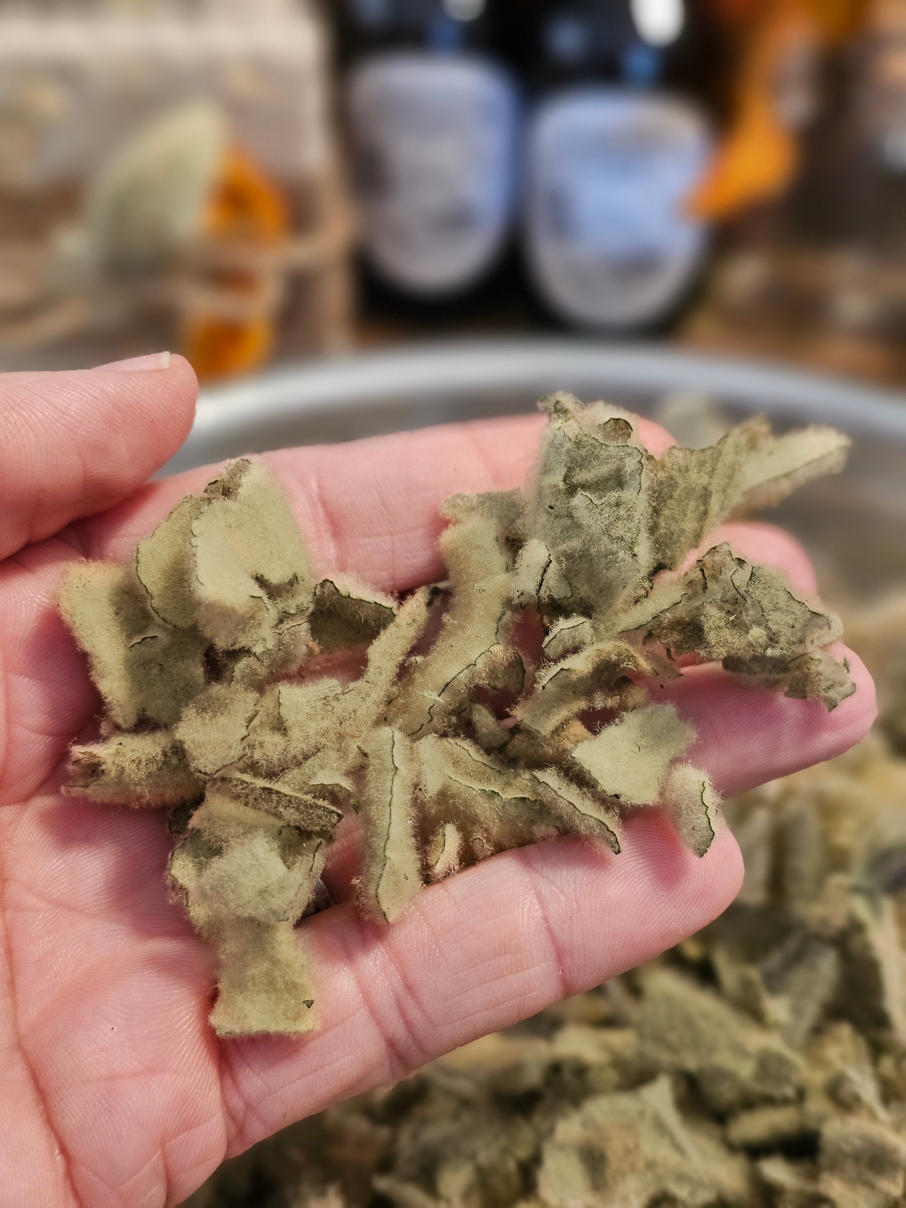Dried Loose Leaf Mullein